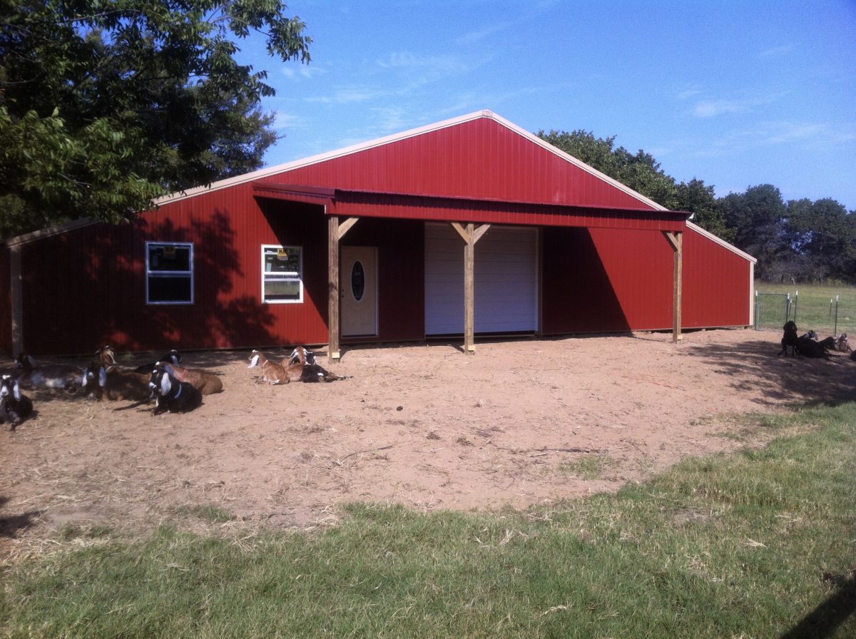 Our new “Girl Barn”! A work in Progress